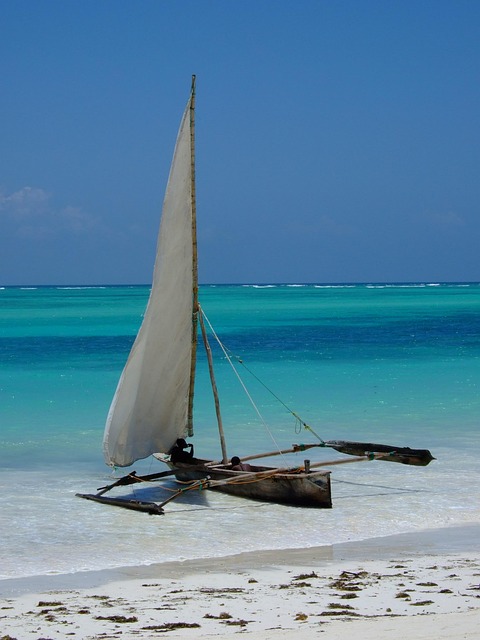 zanzibar, nature, sea, boat, africa, beach, vacation